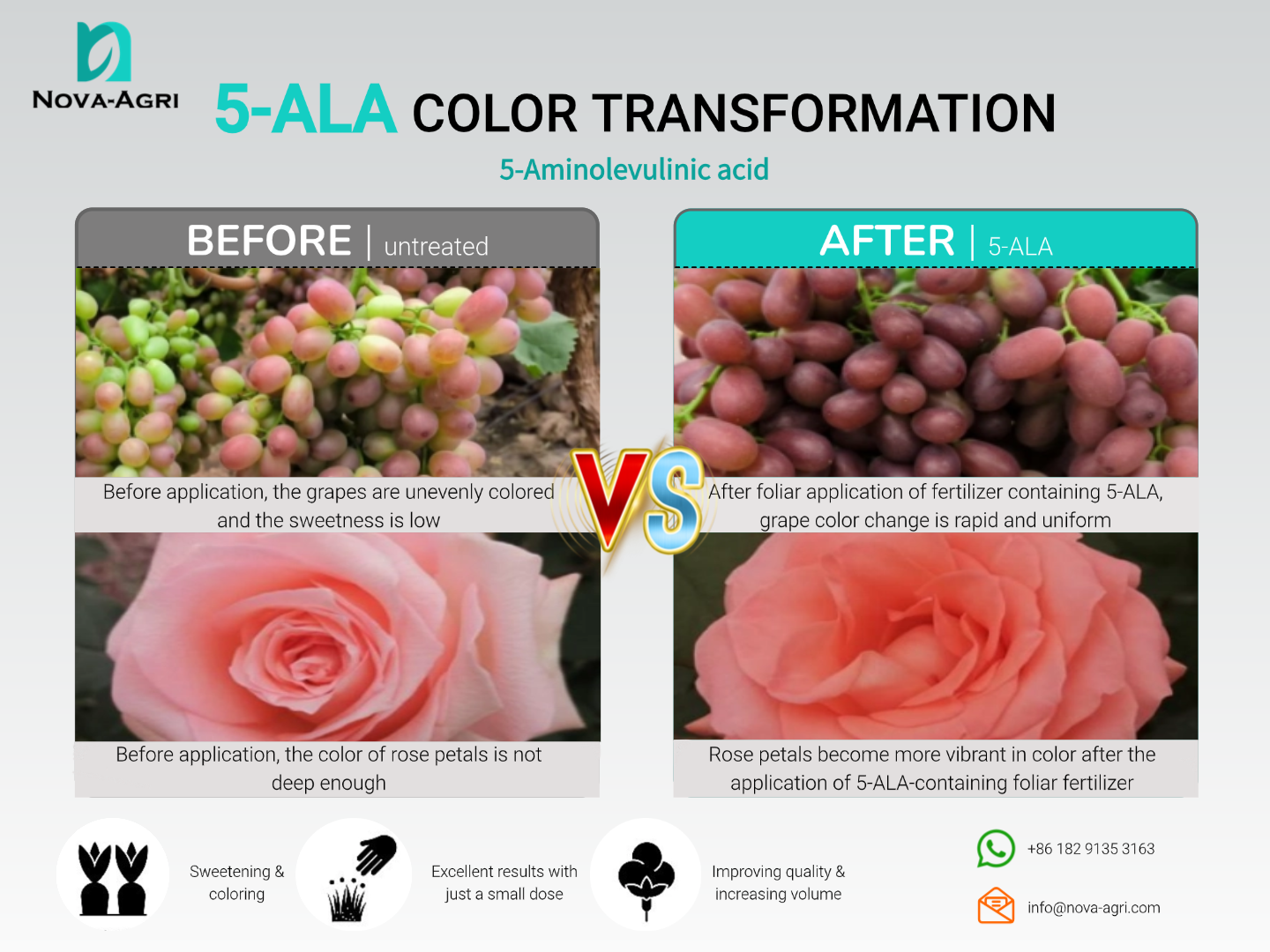 The Science of Color and Sugar: Transforming Crops with 5-ALA