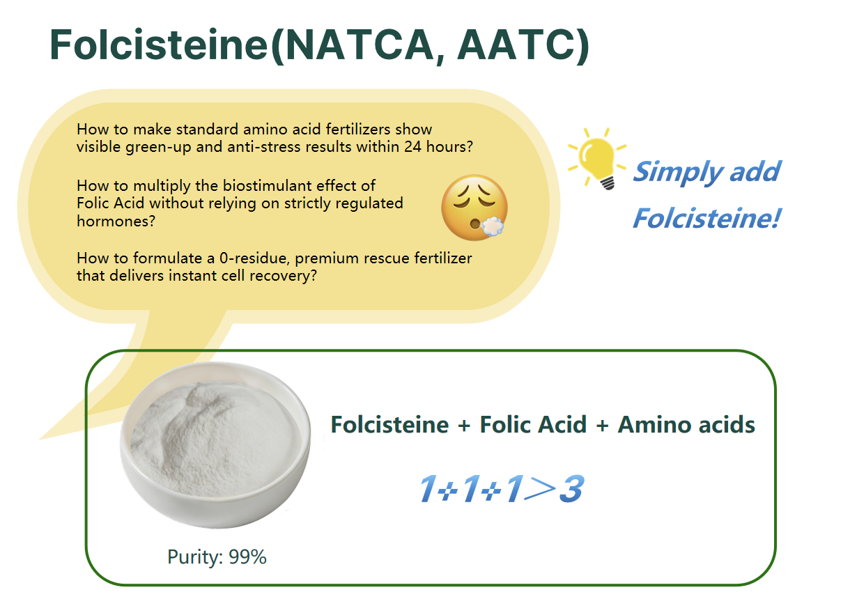 Synergistic tank-mix and blending formulation guide combining Folcisteine NATCA 99%, folic acid, and amino acids for maximum crop yield
